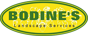 Bodine's Landscape Services logo